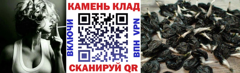 kraken вход  Скопин  ГАШ hashish 